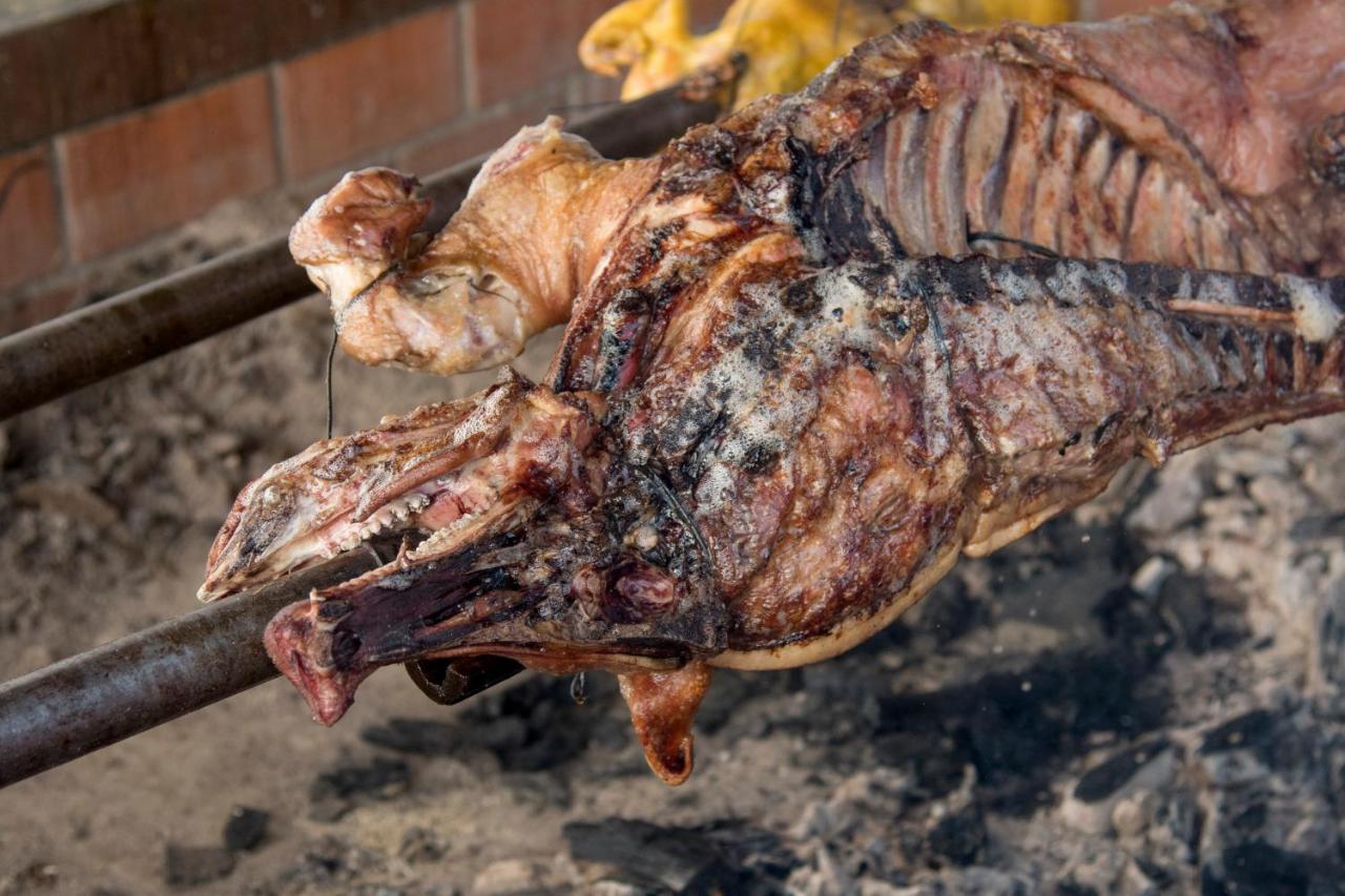 Oaxaca Inn Reforma Ngoại thất bức ảnh
