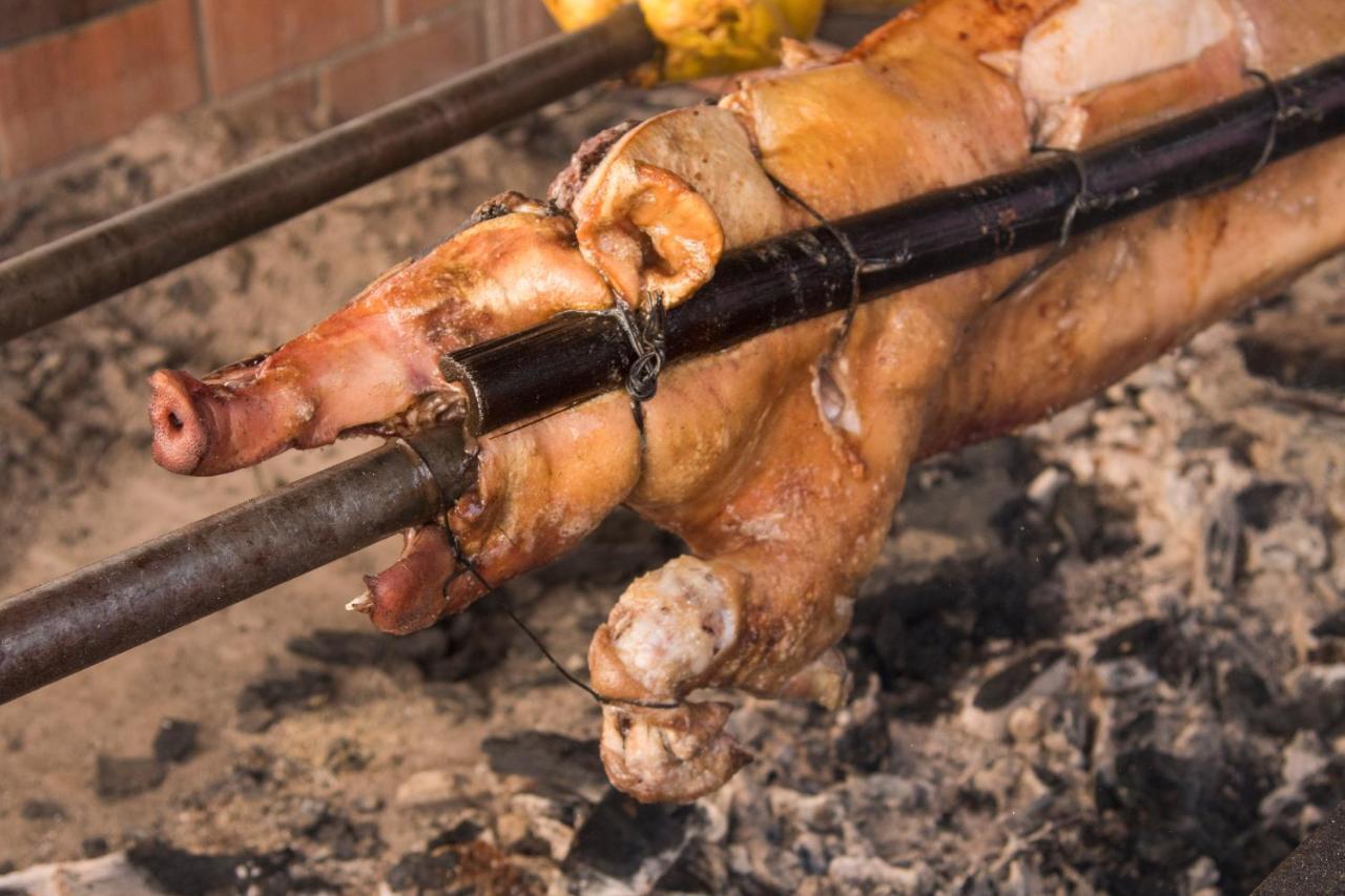 Oaxaca Inn Reforma Ngoại thất bức ảnh